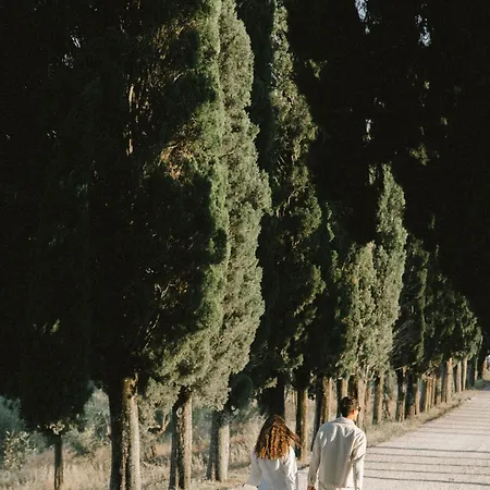 Castello Di Casole, A Belmond Hotel, Tuscany מלון Casole dʼElsa